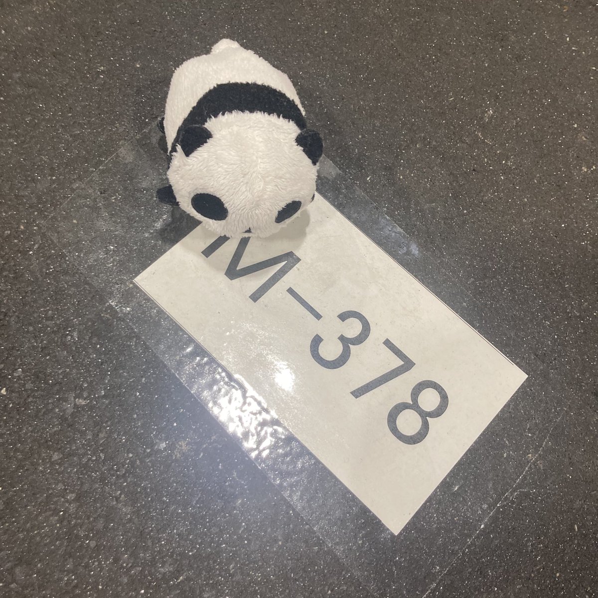 #クリエイターズマーケット 
#クリマ52

設営完了しました！

目玉商品はメッシュポーチとタトゥーシールです♪

🩵似顔絵ドローイングやってます🩵
通常似顔絵と、かわいい動物を掛け合わせた似顔絵が選べます！

ぜひ遊びに来てください〜♪