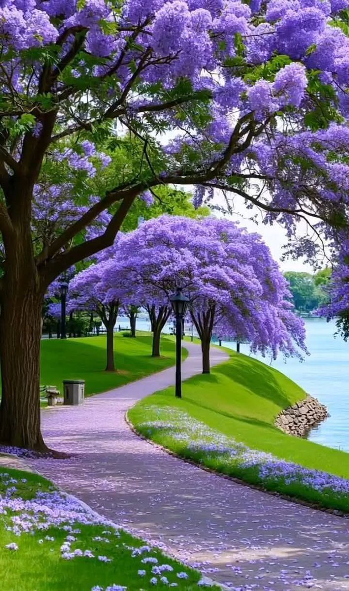 Guten Morgen , buonogiorna