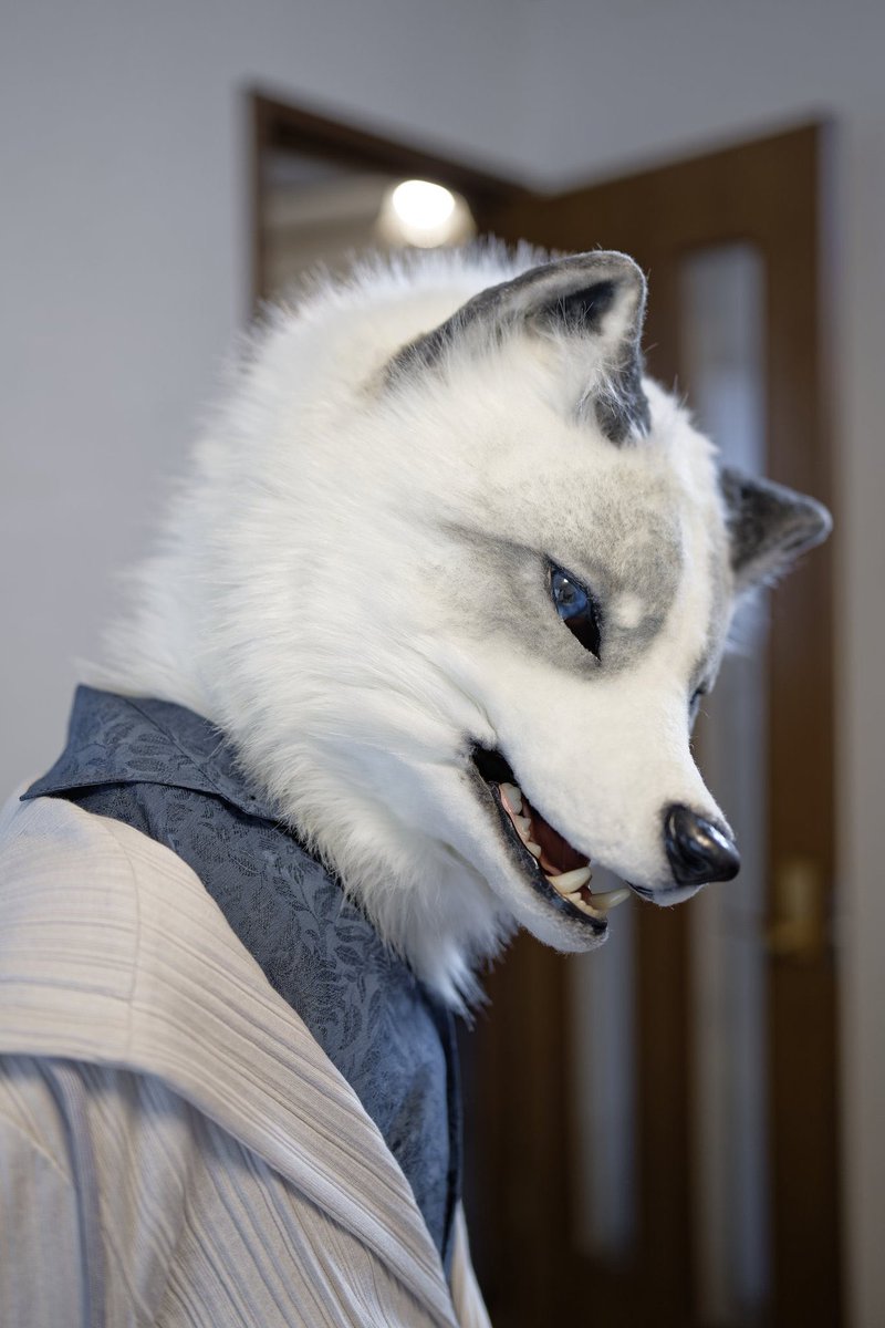 #キャラの横顔選手権
📸 <a href="/yamacha777/">やまちゃ@FurEast</a>