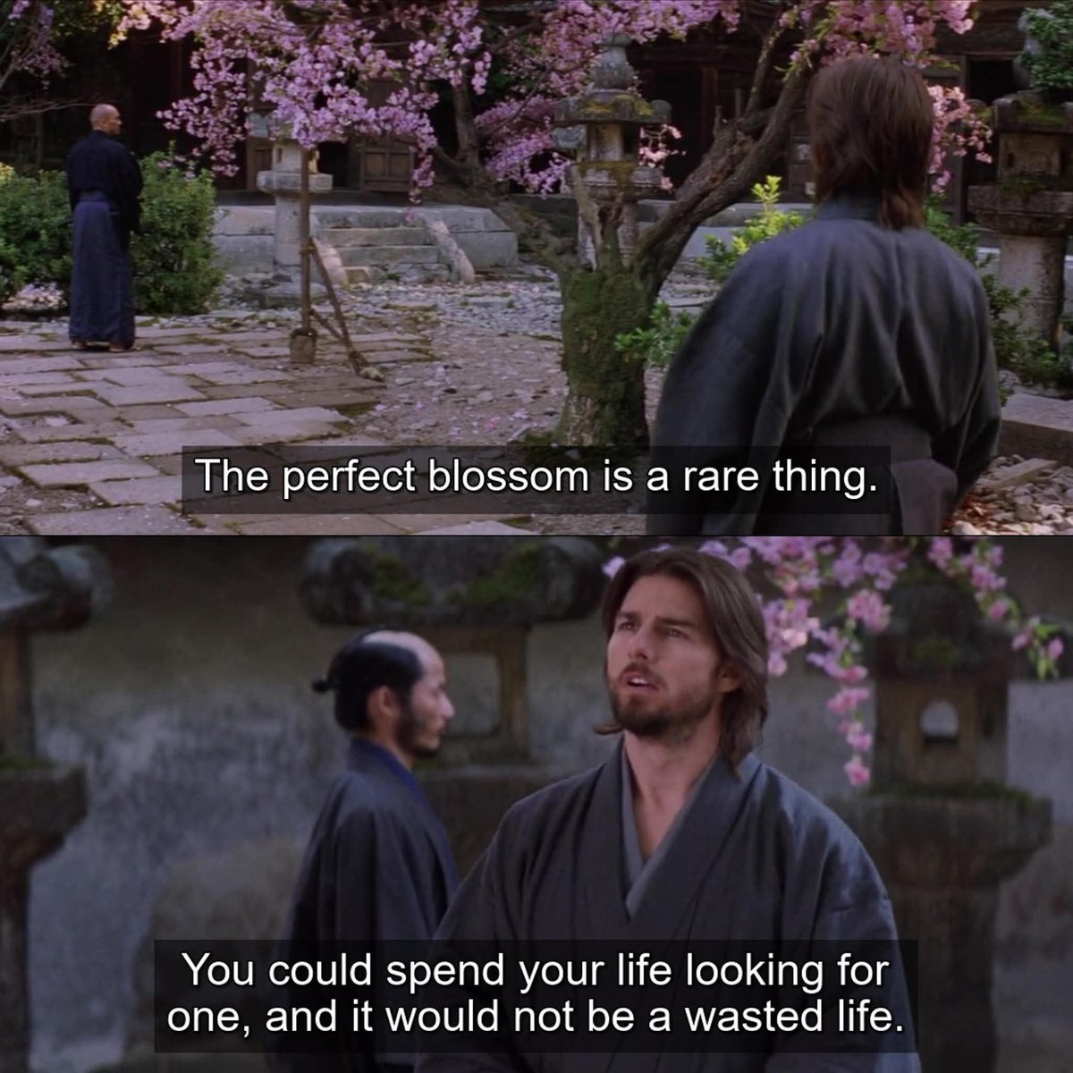 Words ✨ tweet media