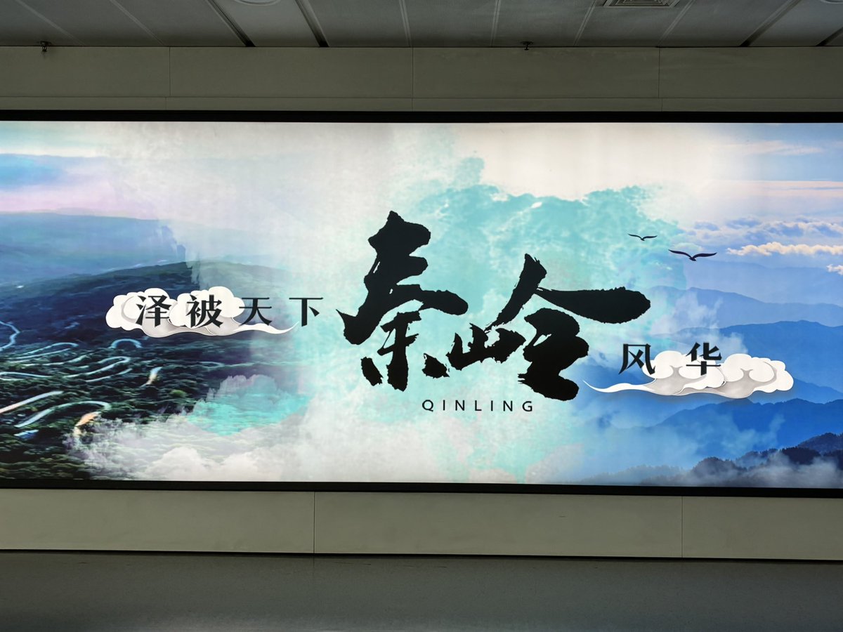 寻家奴。 tweet media