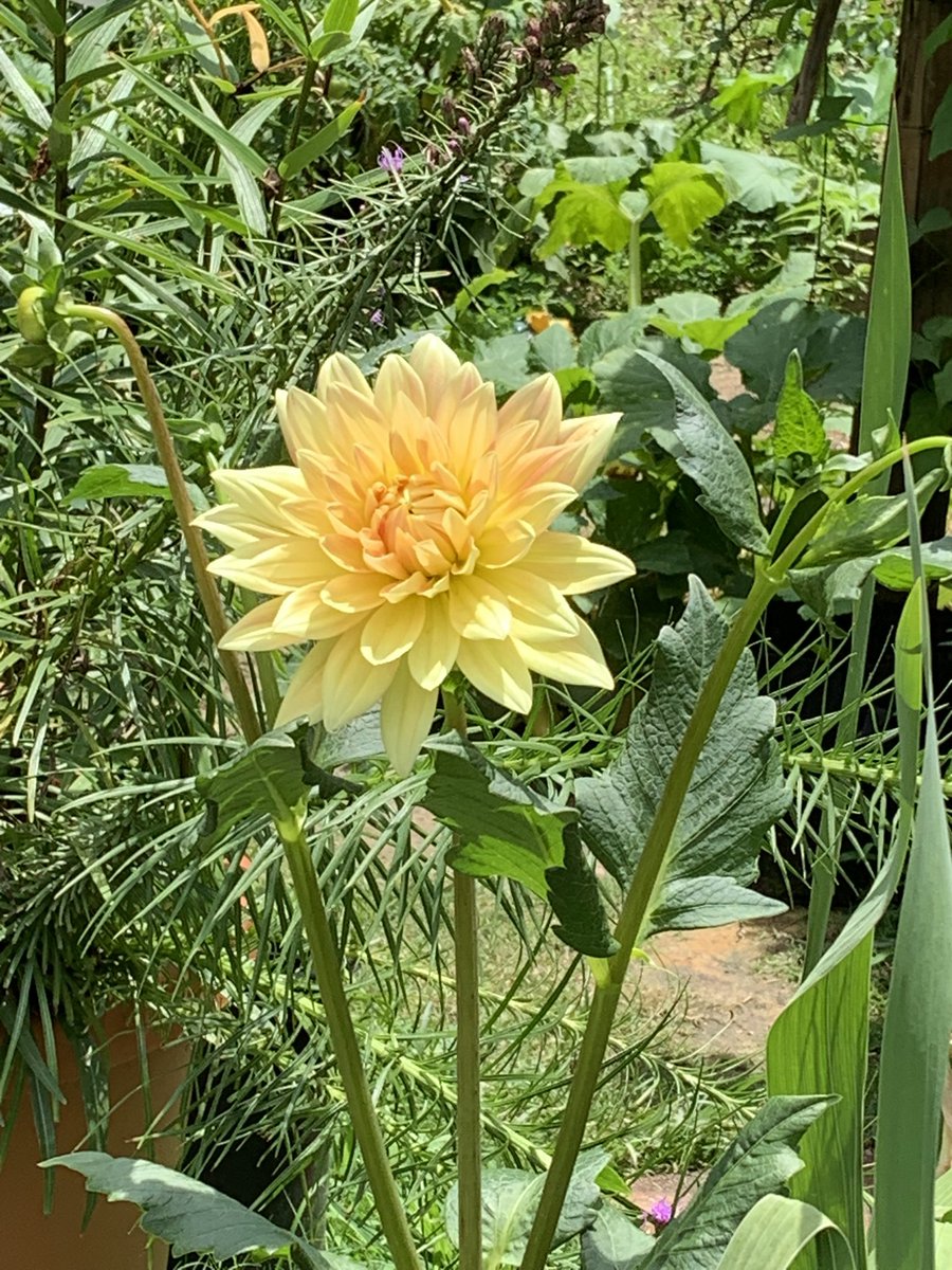 Scott Stephens tweet media