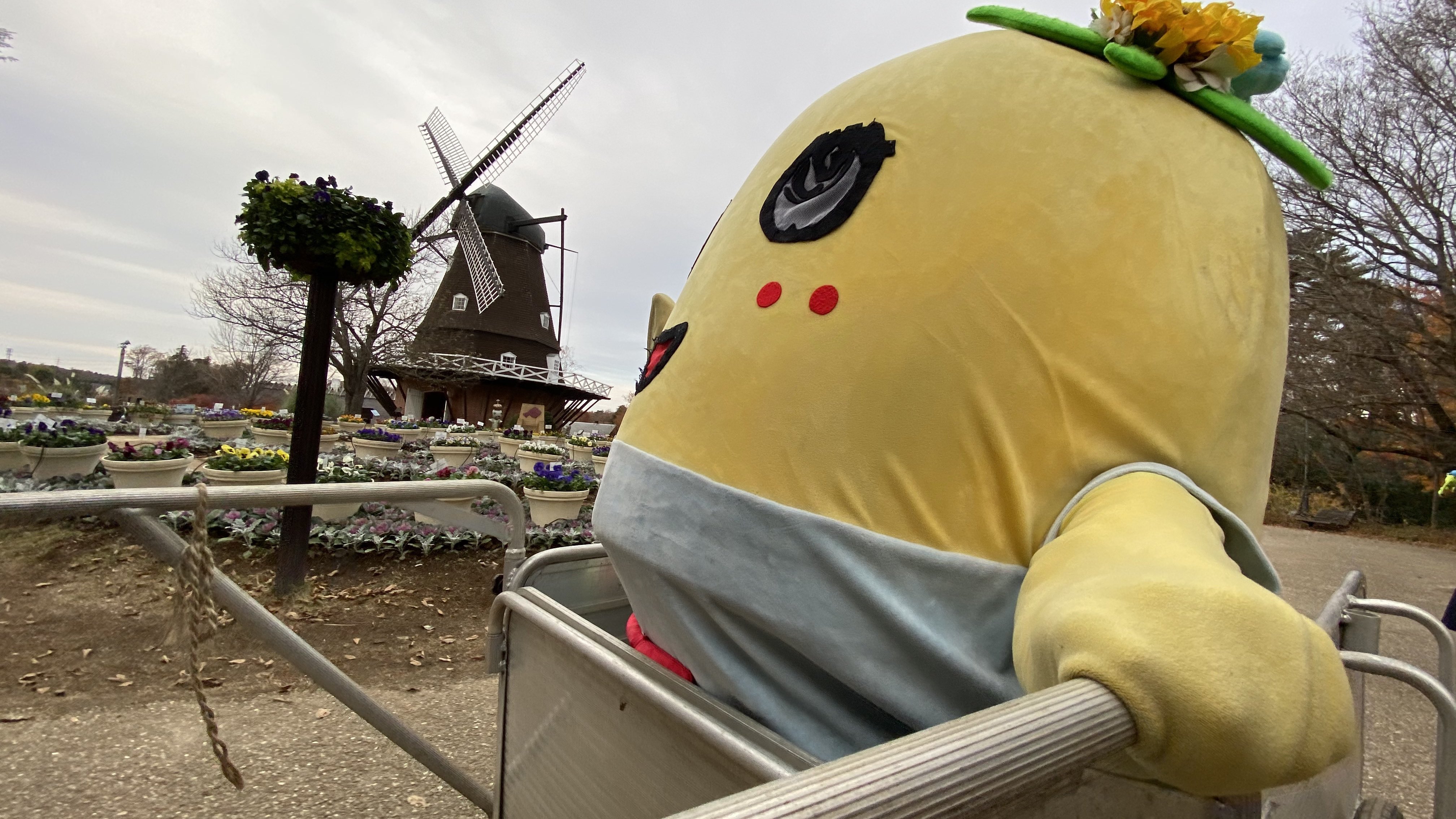 ふなっしー💙 (@funassyi) / X