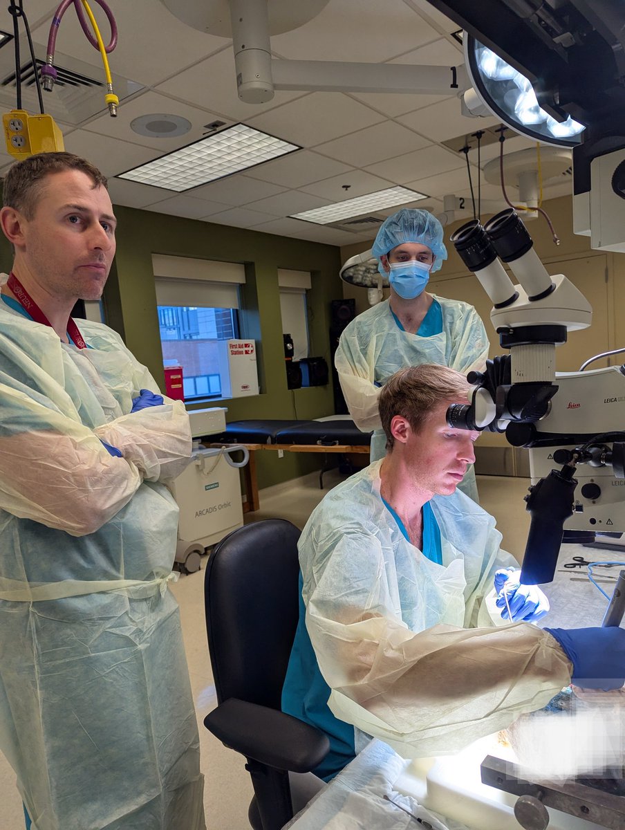 Crystal Lincoln tweet media