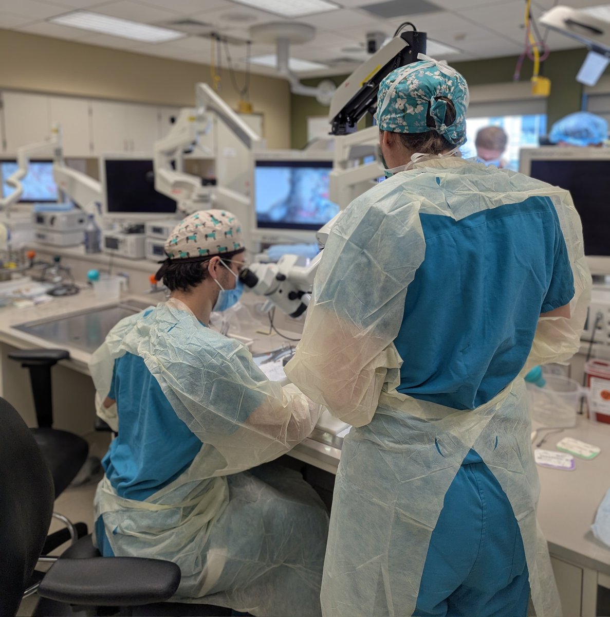 Crystal Lincoln tweet media