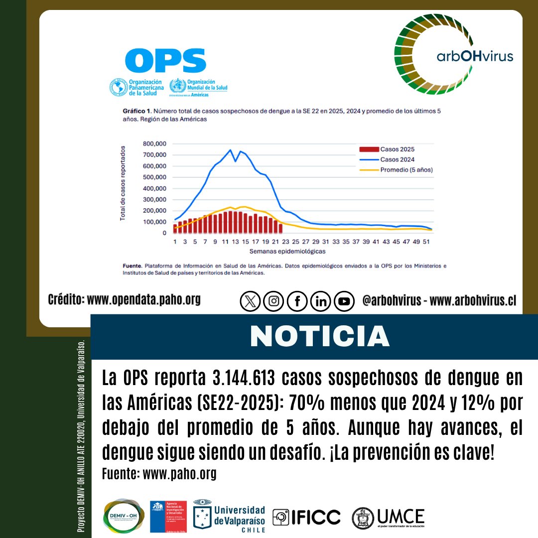 arbohvirus's tweet image. 🦟#AlertaEpidemiológica: El #Dengue sigue siendo un desafío en las #Américas (SE22-2025). Desde #arbOHvirus trabajamos en su #Prevención con enfoque #OneHealth. @opsoms👉 bit.ly/4bo5GNI
@ANID_Chile
@CentrosAnid
@uvalpochile
@umcecl
@InstitutoIficc
@PAHOWHO
@OPSOMSChile