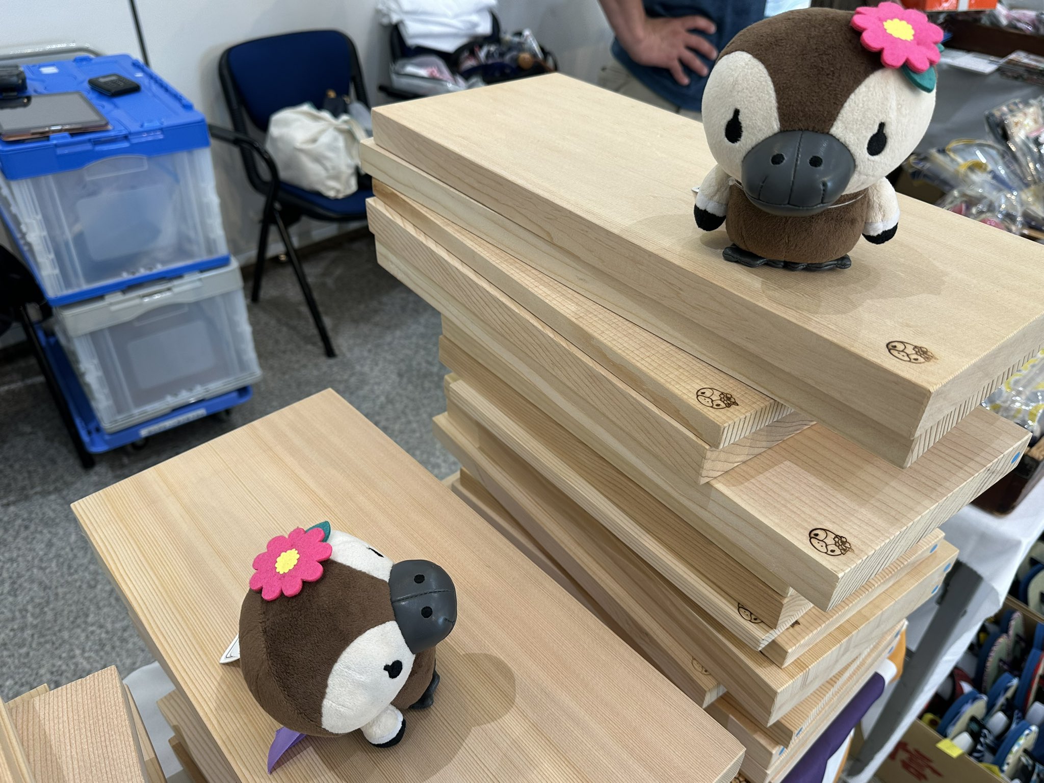 コトミちゃんトコトコさんぽ on X: 