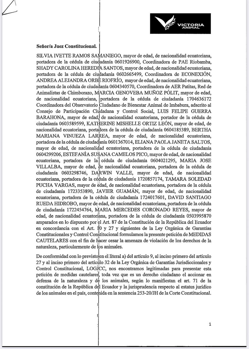 Janet Hinostroza tweet media