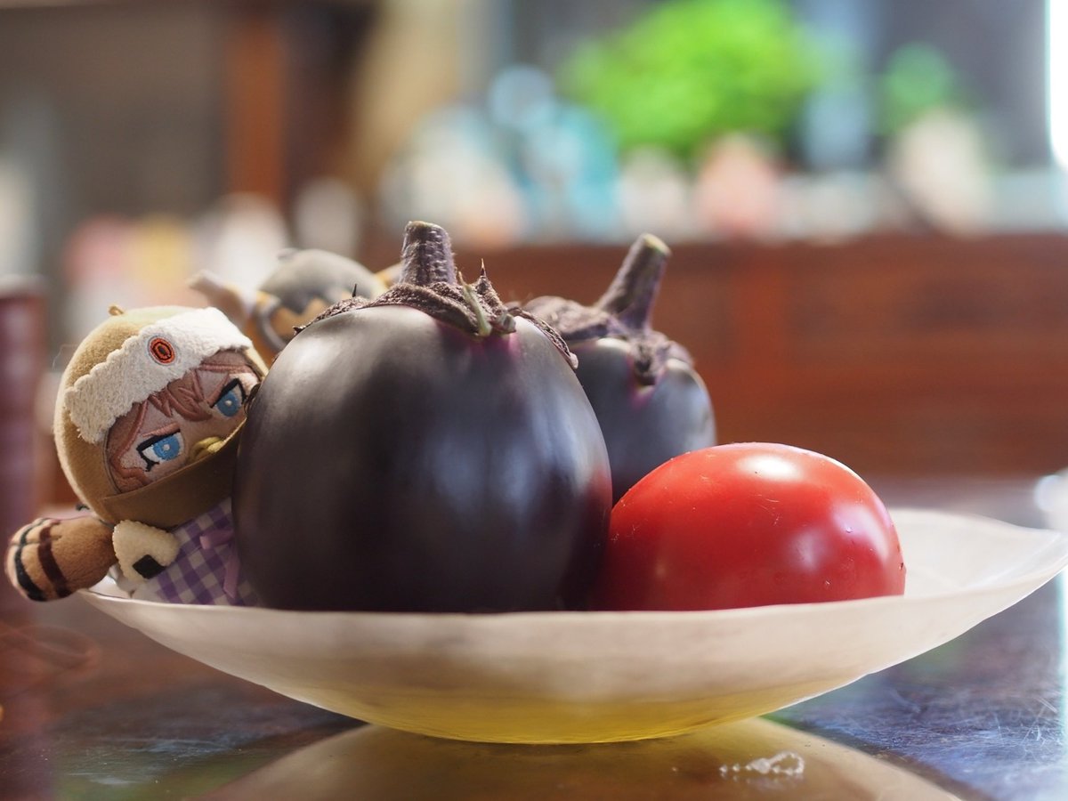 764w_v's tweet image. 知人からいただいた京野菜🍆🍅

🐱かくれんぼできるぐらい大きいよ！

🐱クンクン
　トマトの青っぽくていい匂いするの🤤