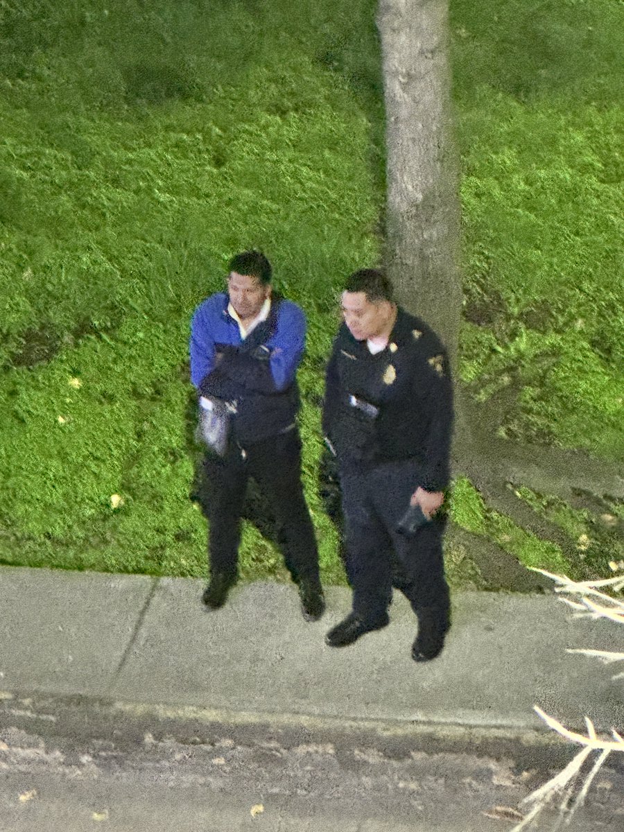 huunnybee_'s tweet photo. Y tus policías bien coludidos con este lugar que disturbia La Paz de los inquilinos, golpea clientes, permite que manejen alcoholizados @AlessandraRdlv @inveacdmx https://t.co/efT0AzkTN6