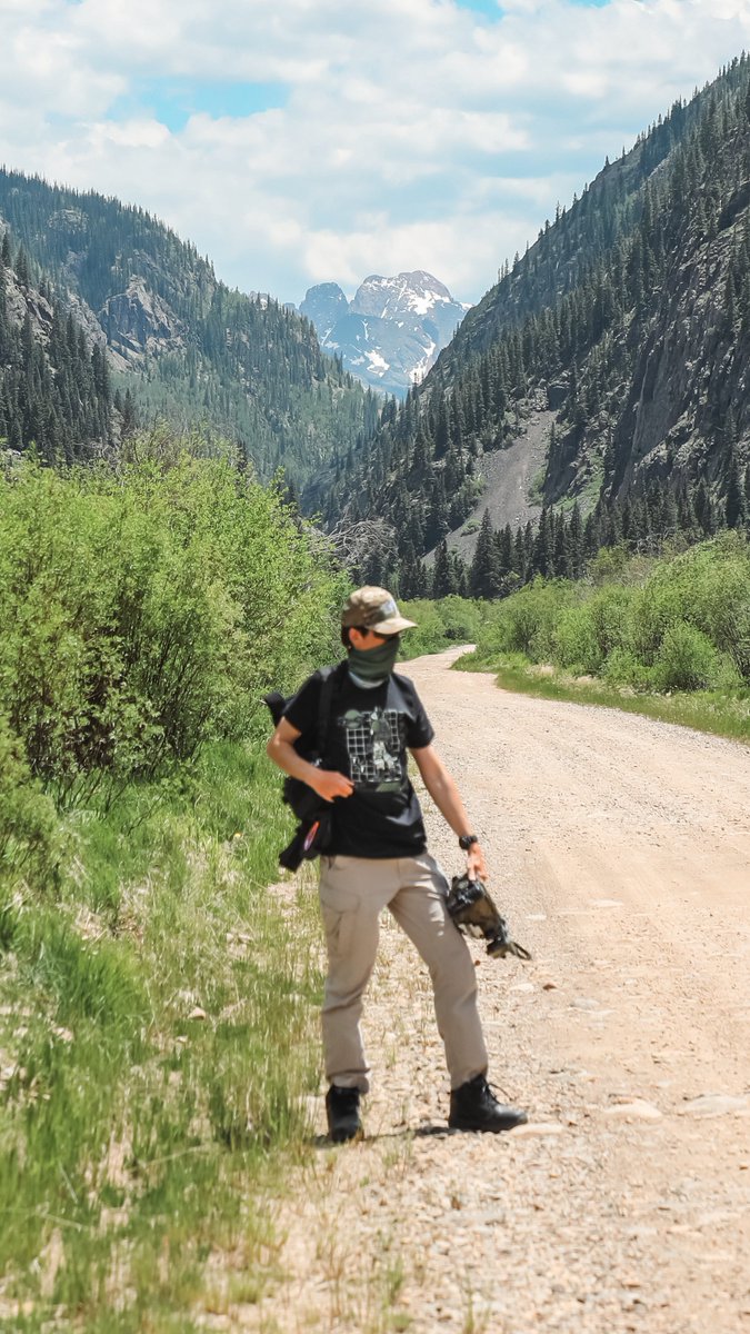 Fire And Forget Ordnance tweet media