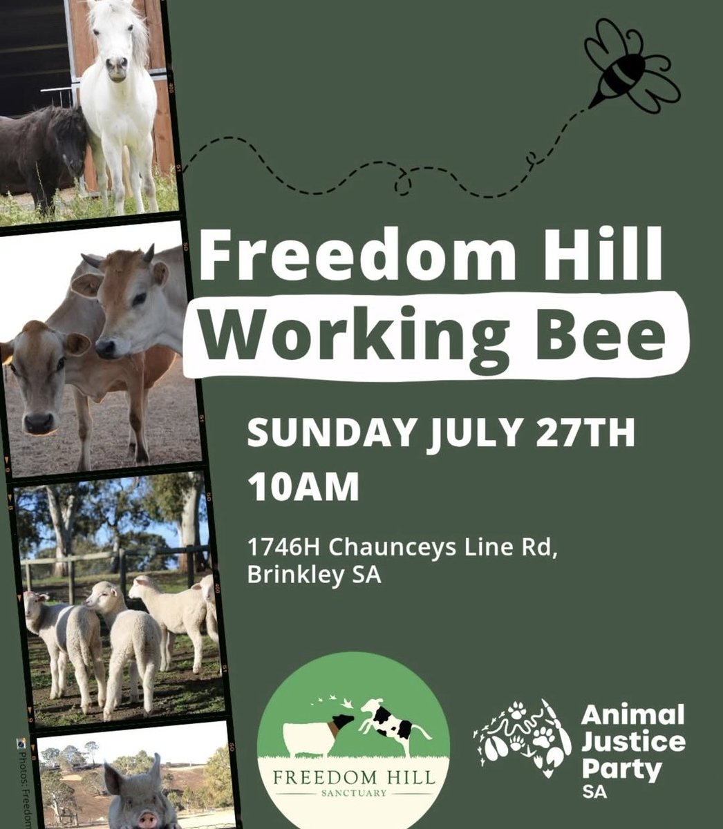 Animal Justice Party - South Australia tweet media