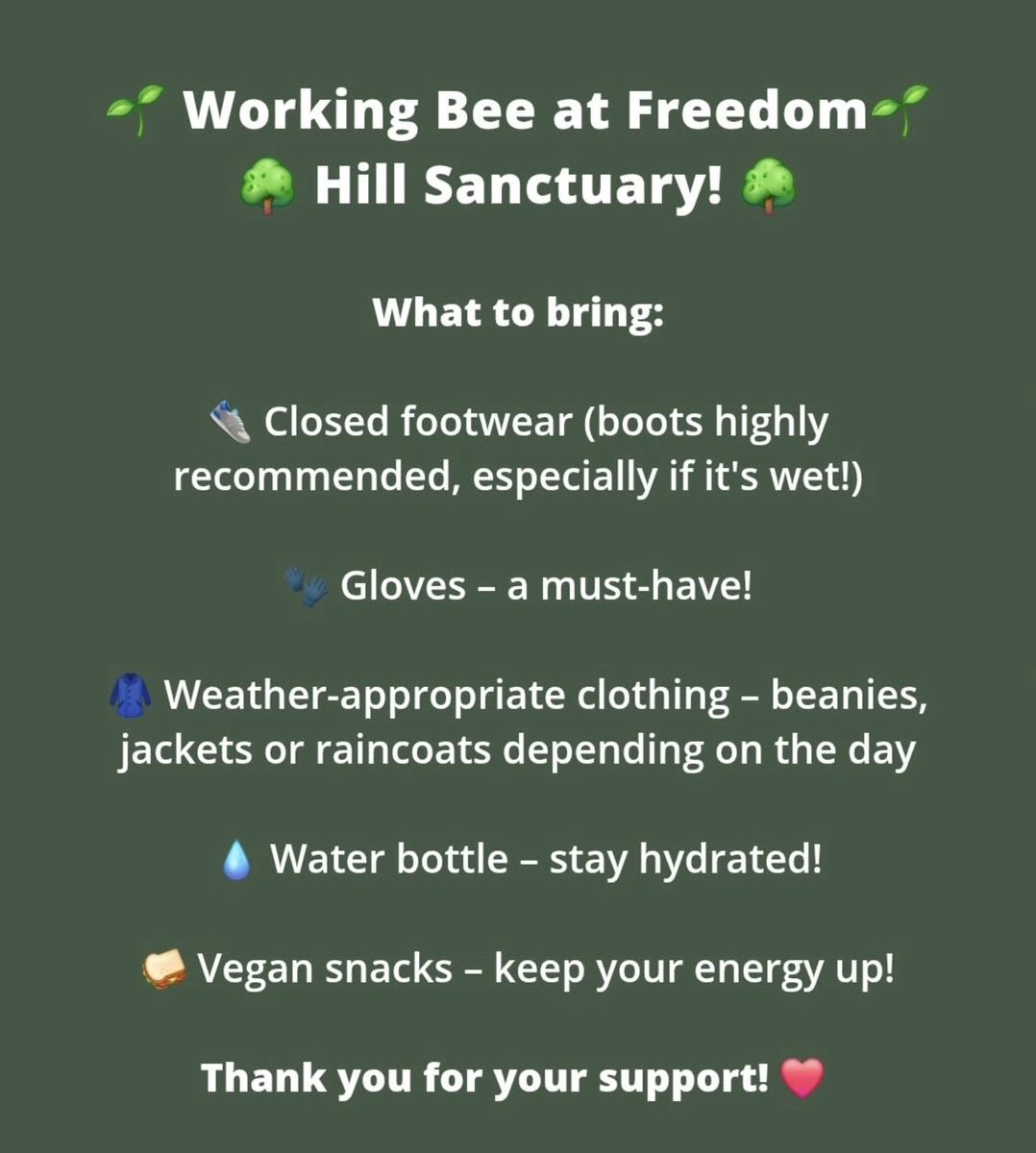 Animal Justice Party - South Australia tweet media