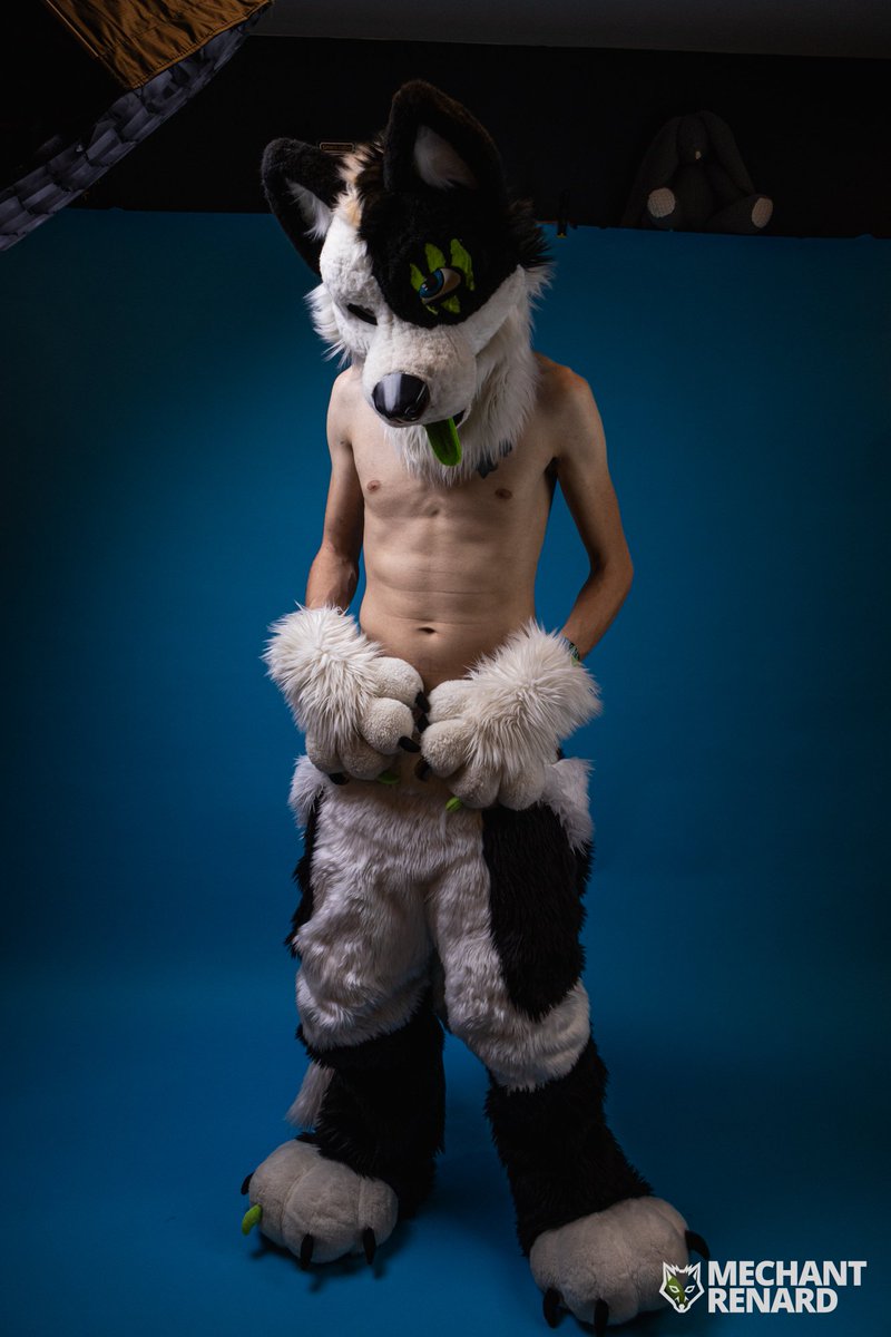KybaCWC's tweet image. Summer is going to be hot this year🥴🥵
Happy #FursuitFriday
🪡 by me -CwC-
📸 @mechantrenard