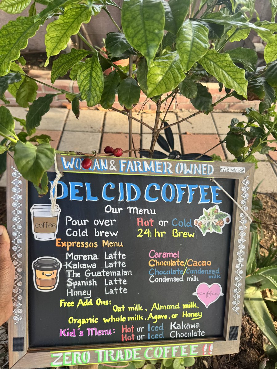 herceny's tweet photo. Hay viene #Guate #vamosguate #veranofutbolero Siempre se gana cuando se toma @delcidcoffee Café directamente de nuestros cafetales en Santa Rosa Guatemala! https://t.co/2uKm1Bcnyj