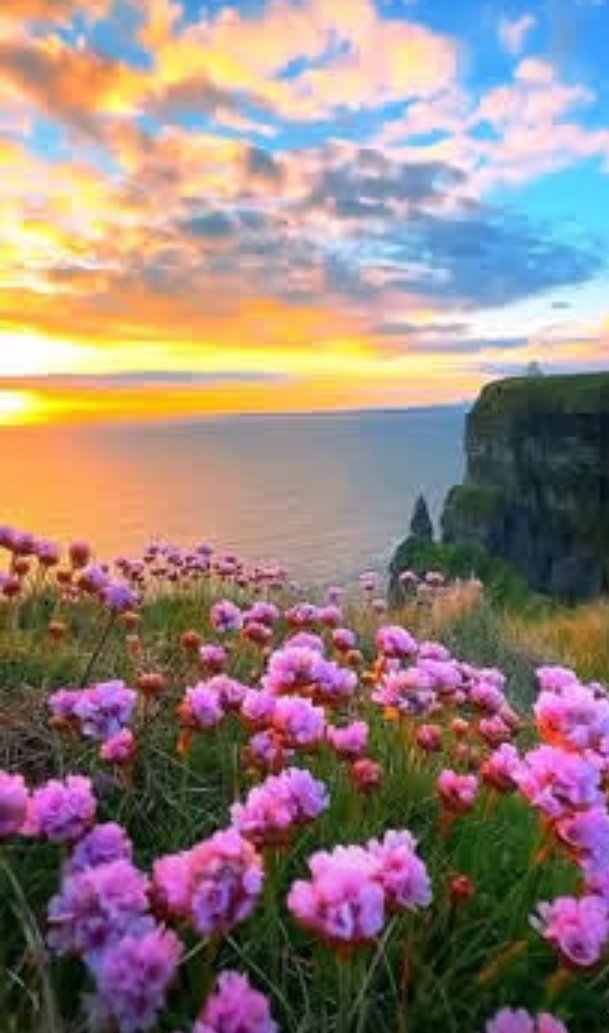 Beautiful nature 💖
Good morning 🌄 X mates 💕 

Have a Blessing day to all 💮🌸