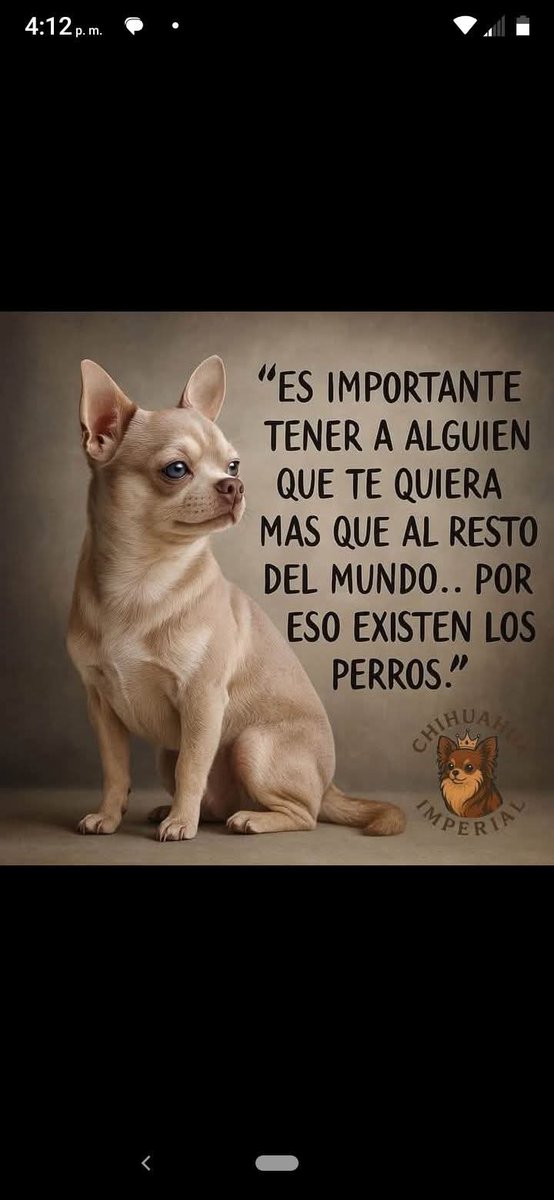 Antonio N Orellana Reyes (@protbestfriend) on Twitter photo 