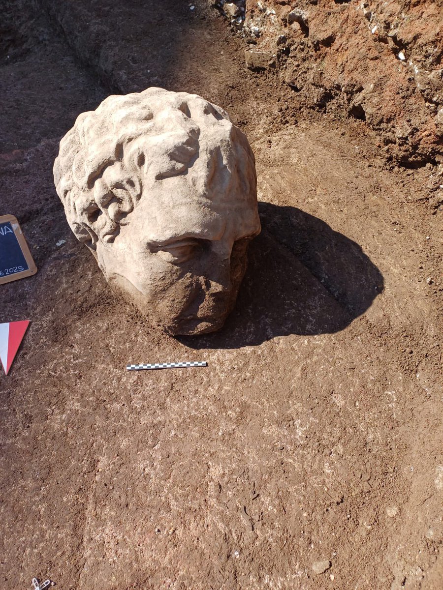 wantedinrome's tweet image. Archaeologists in Rome unearth a large marble head beneath Trajan’s Forum as part of ongoing excavations on Via Alessandrina.