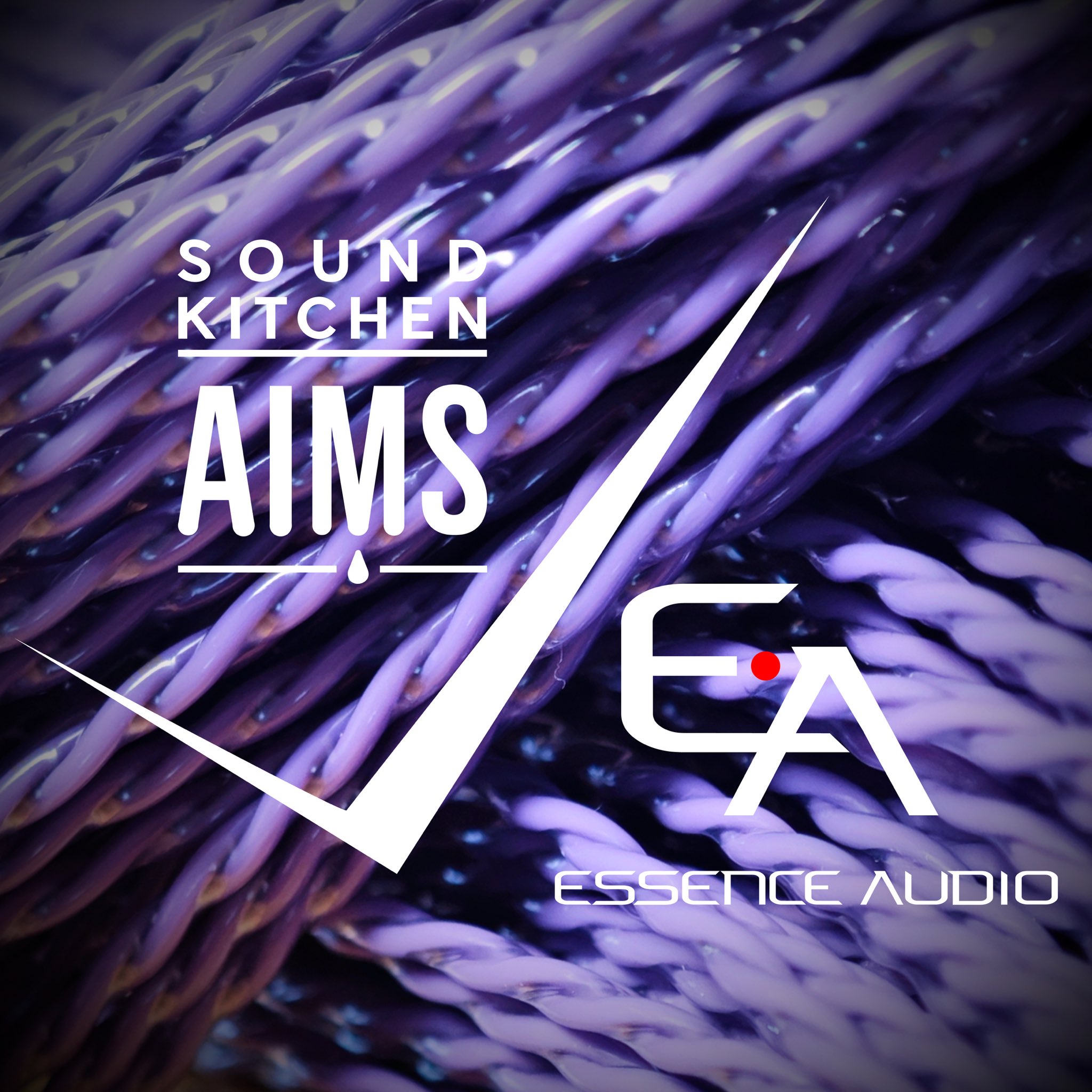 AIMS × ESSENCE AUDIO コラボ OG-01 4.4 2pin OG series project