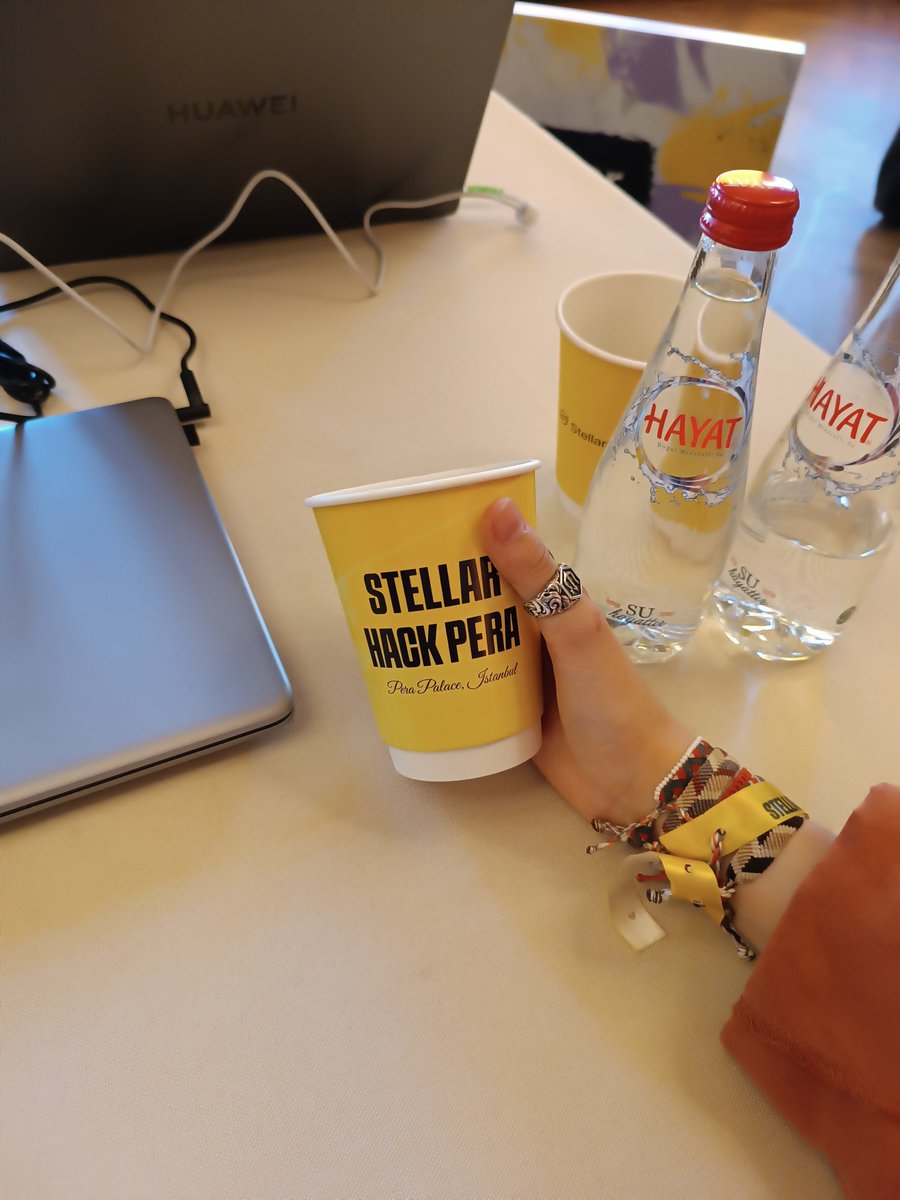 demirmelekhan's tweet image. 🧡🌻🎊

#StellarHackPera #RiseIn @riseinweb3 @StellarOrg @BuildOnStellar