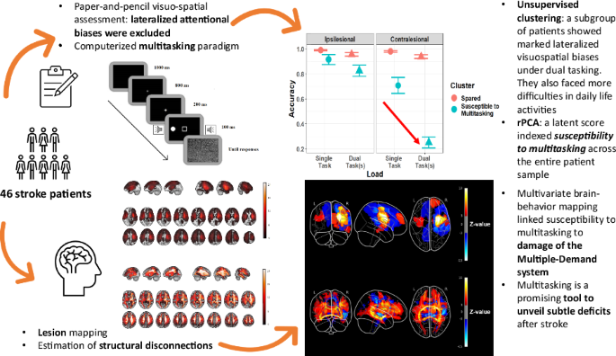 Susceptibility to multitasking in stroke is associated to multiple-demand system damage and leads to lateralized visuospatial deficits: Communications Biology, Published online: 12 May 2025; doi:10.1038/s42003-025-08074-zMultitasking unveils hidden… nature.com/articles/s4200…