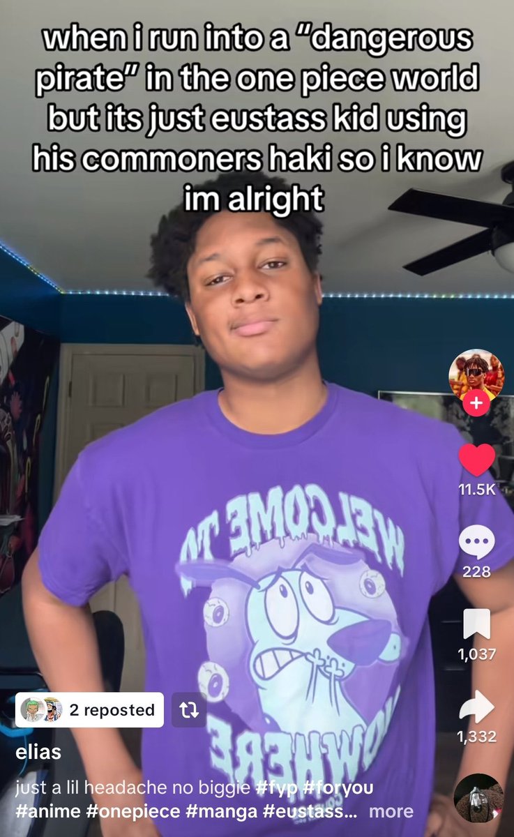 Eustass Kid’s spot is all I had to check to know this tier list is perfect.