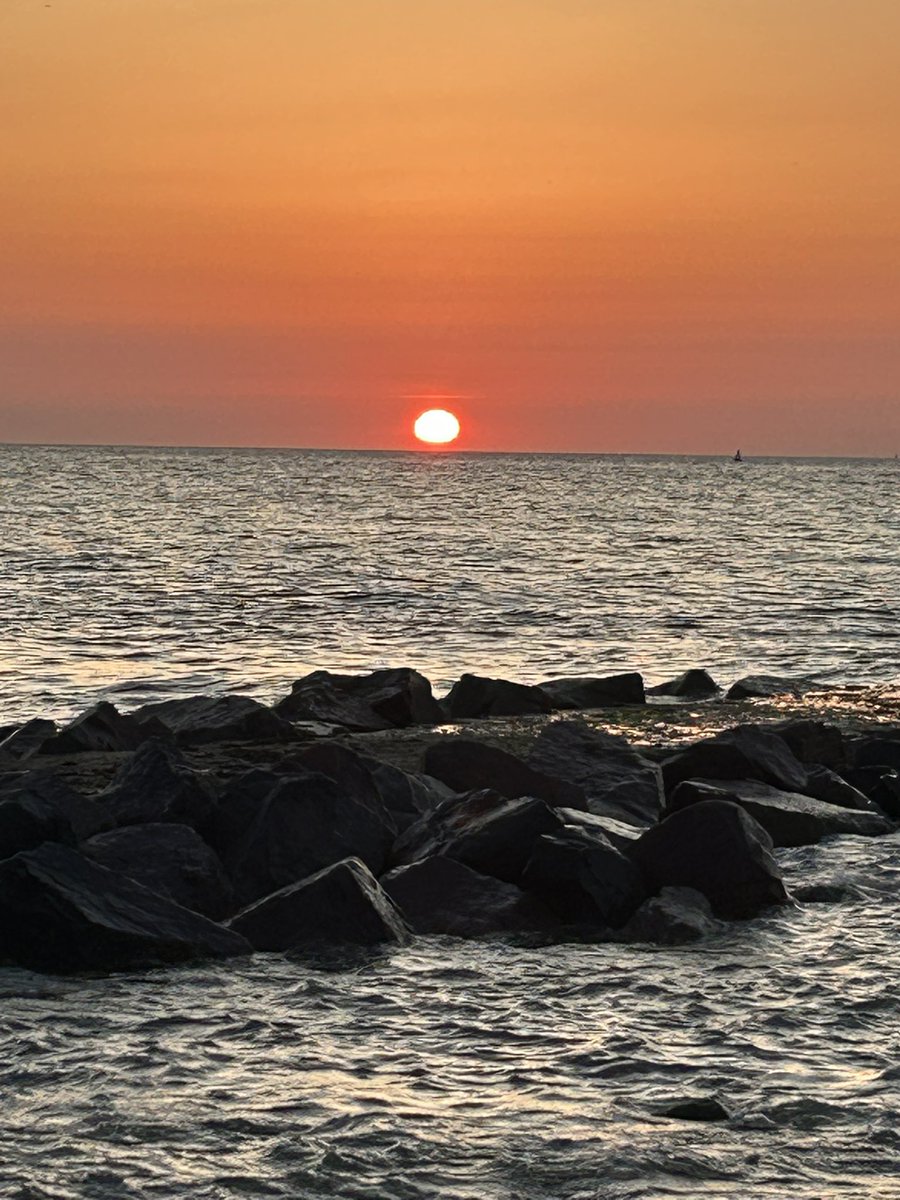 Kettering Wildlife corner tweet media