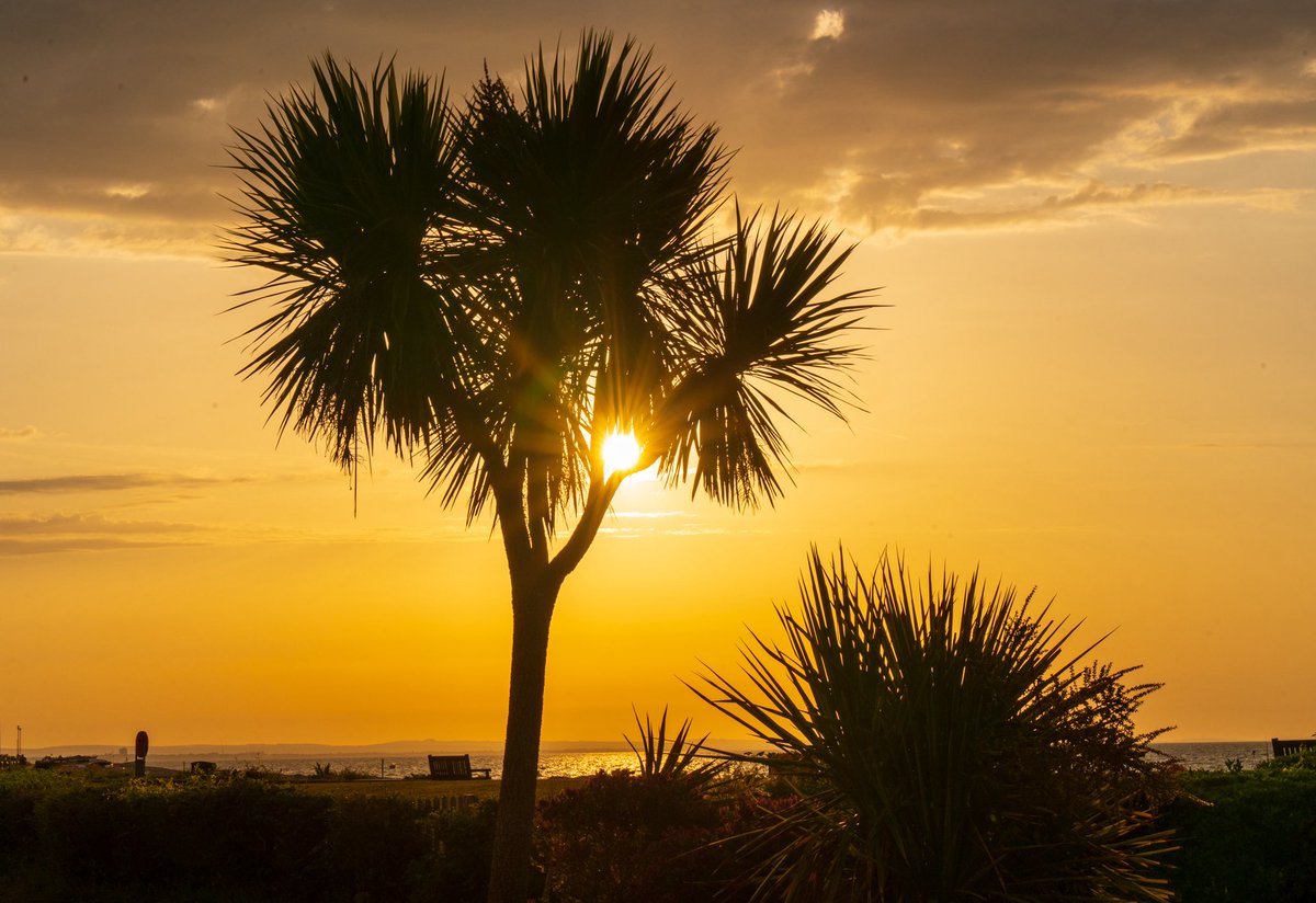 Coastal JJ UK (@coastaljjuk) on Twitter photo Summer solstice sunrise in Selsey on Saturday. <a href="/BBCSouthWeather/">BBCSouthWeather</a> <a href="/itvmeridian/">ITV News Meridian</a> <a href="/BBCSussex/">BBC Sussex</a> <a href="/AlexisGreenTV/">Alexis Green</a> <a href="/HollyJGreen/">Holly Green - Weather Presenter</a> <a href="/PhilippaDrewITV/">Philippa Drew</a> <a href="/ExpSussex/">ExperienceSussex</a> <a href="/VisitSEEngland/">Visit South East England</a> <a href="/greatsussexway/">The Great Sussex Way</a> Summer solstice sunrise in Selsey on Saturday. <a href="/BBCSouthWeather/">BBCSouthWeather</a> <a href="/itvmeridian/">ITV News Meridian</a> <a href="/BBCSussex/">BBC Sussex</a> <a href="/AlexisGreenTV/">Alexis Green</a> <a href="/HollyJGreen/">Holly Green - Weather Presenter</a> <a href="/PhilippaDrewITV/">Philippa Drew</a> <a href="/ExpSussex/">ExperienceSussex</a> <a href="/VisitSEEngland/">Visit South East England</a> <a href="/greatsussexway/">The Great Sussex Way</a>