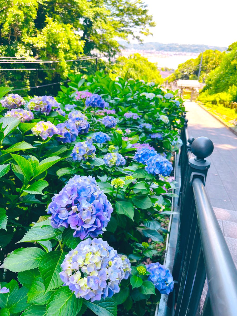 ting__0119's tweet photo. https://t.co/1lCDJswJVo