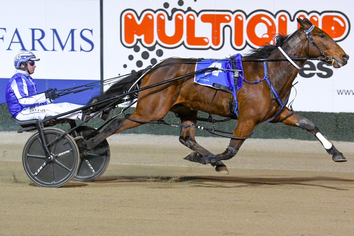 Club Menangle tweet media