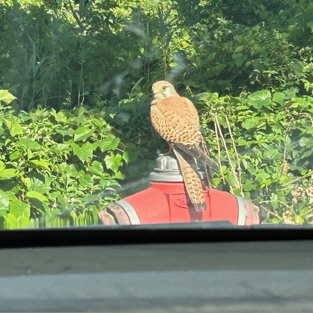 Gm fam, have a great weekend! Itap