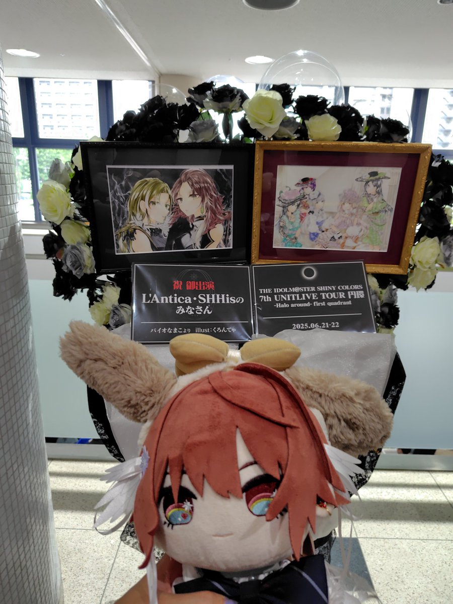 楽屋花！！🫶✨