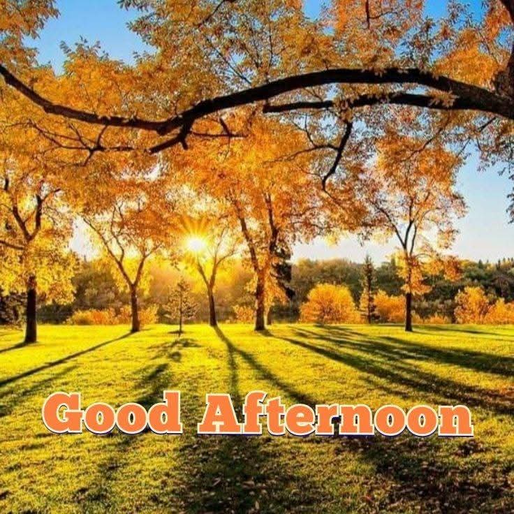 GOOD AFTERNOON EVERYONE