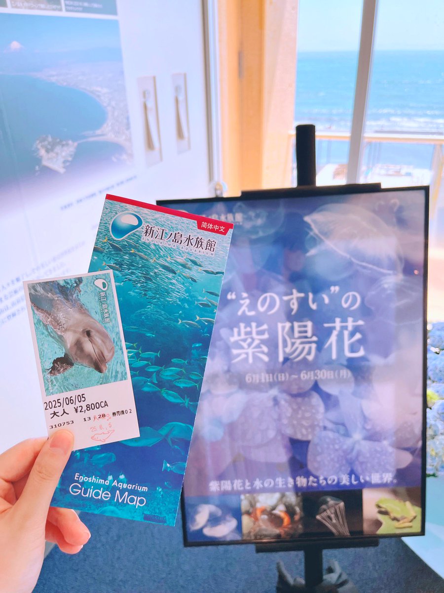 ting__0119's tweet photo. 6/5
午後は駅で海遊館の広告を見て、時間も有るし、じゃ江ノ電に乗って行こ🚎
水族館のペンギンさんは親切で、みんなを観察しています。🐧：何を見ているんだ人間(｡・`ω´･)
夜は友達と集まってご飯食べました、とても充実した一日でした！でも本当に暑いね☀️💦 https://t.co/74VDeiNOu2