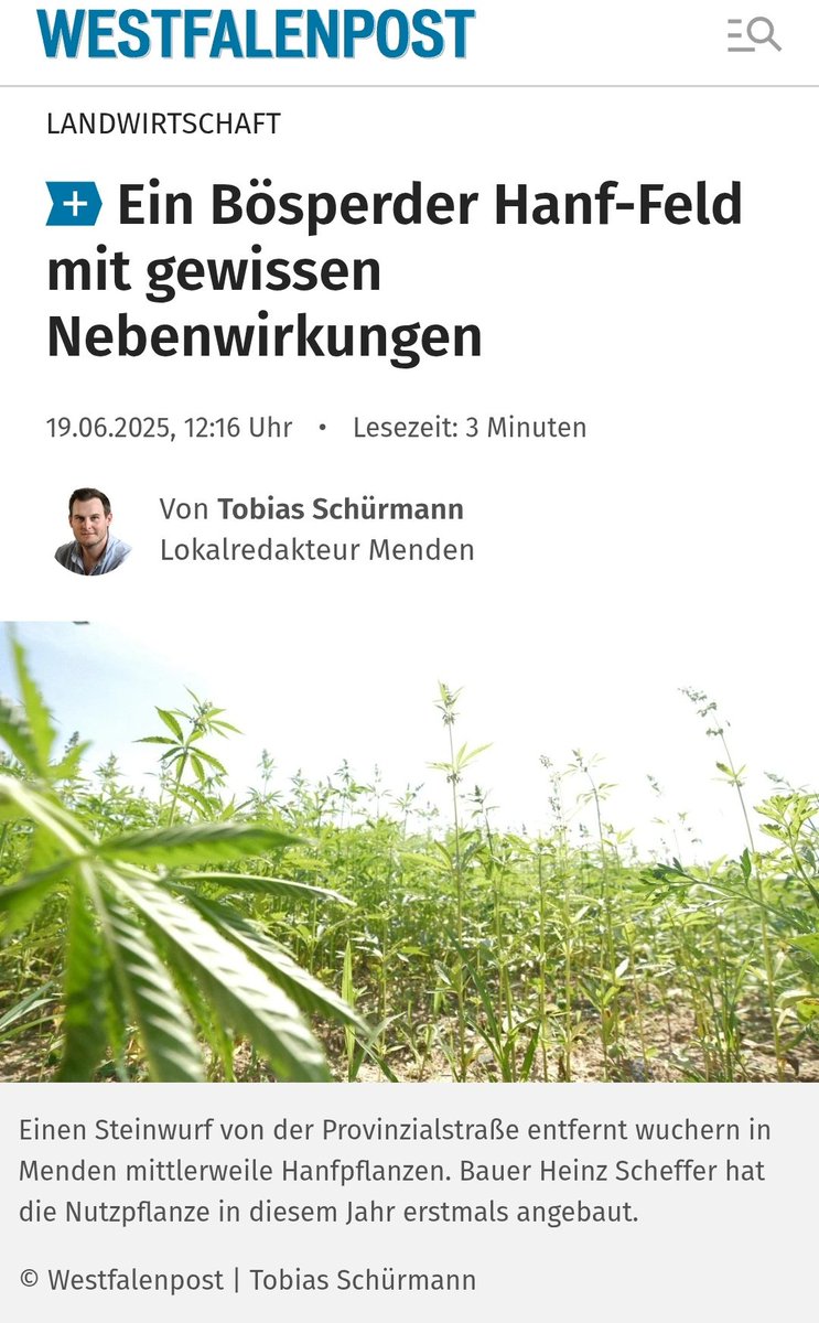 Merke: #Hanf wächst nicht, er "wuchert" 🙄