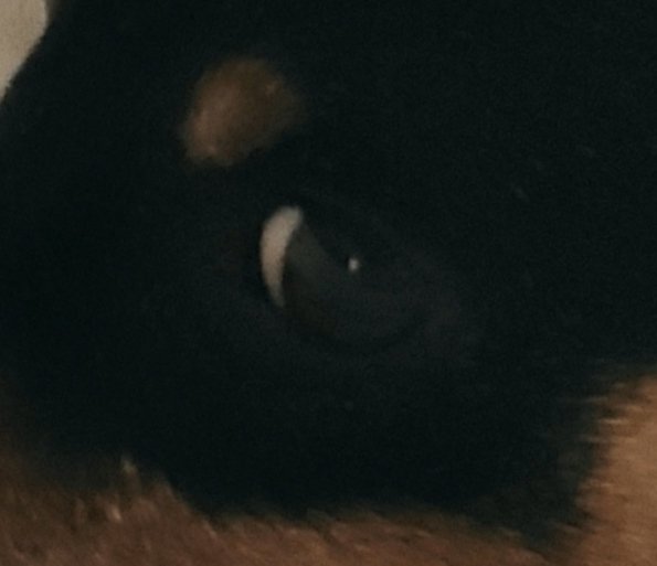 L'occhio della madre