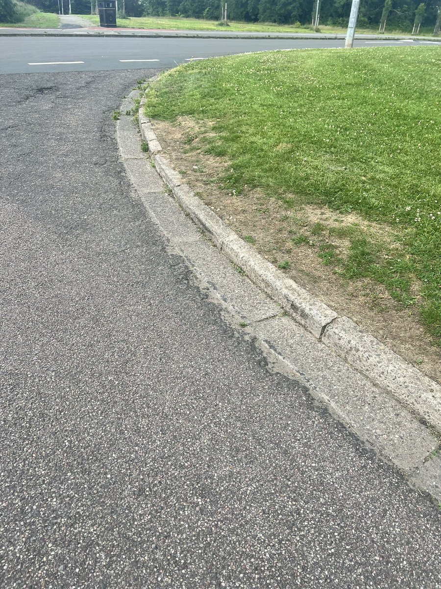 brad harrison tweet media