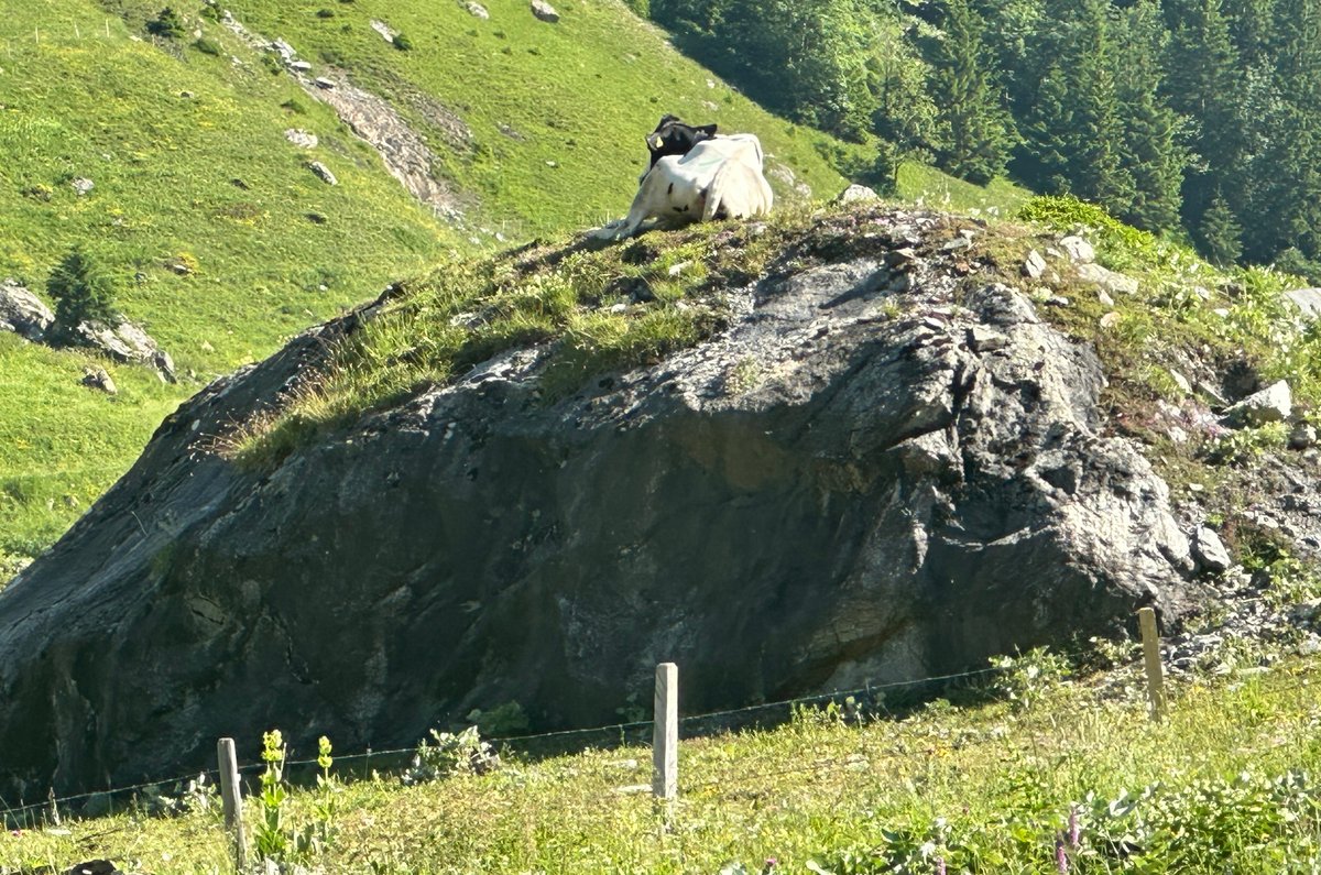Immer schön den Überblick behalten.
Grüsse aus dem Urnerland.