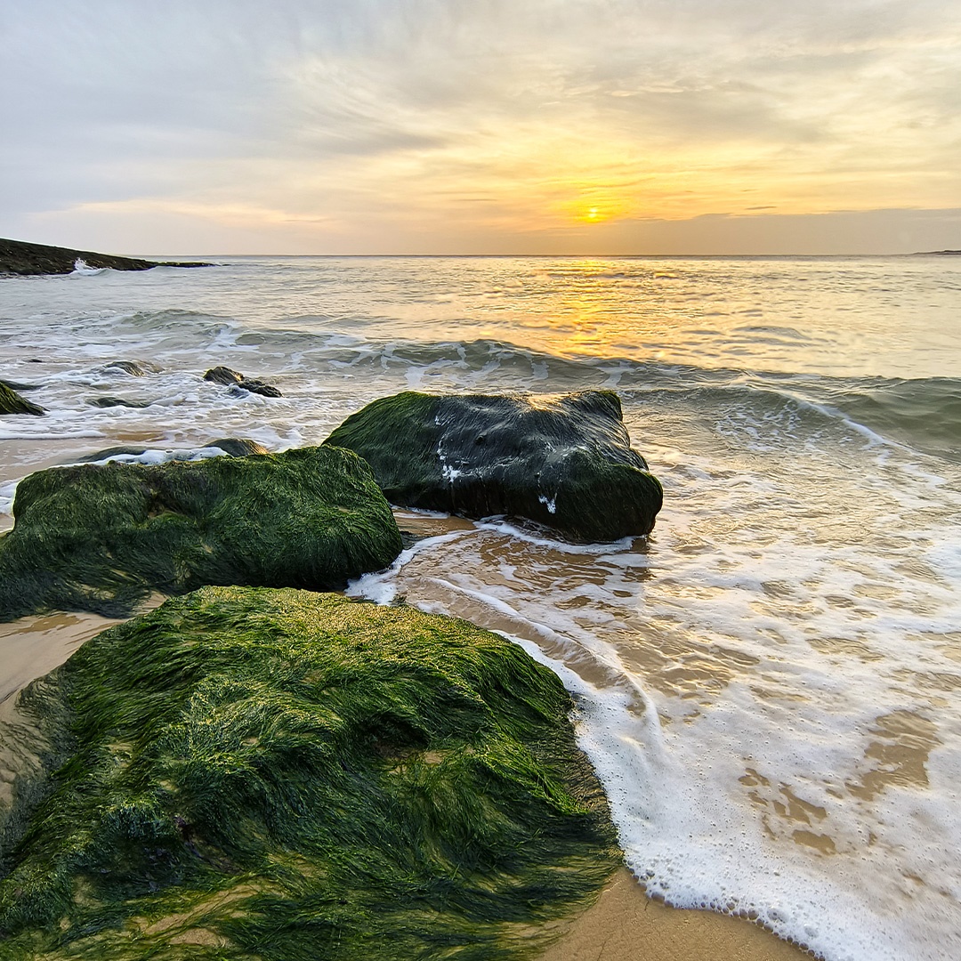 ZEISS_Group's tweet photo. Hello, Summer! ☀️ Shot on the #vivo X Series with camera technology co-engineered with ZEISS. The ZEISS T* coating reduces reflections and delivers clear results in changing light.
#ZEISS #SummerBeginning https://t.co/7DclYXjWaW