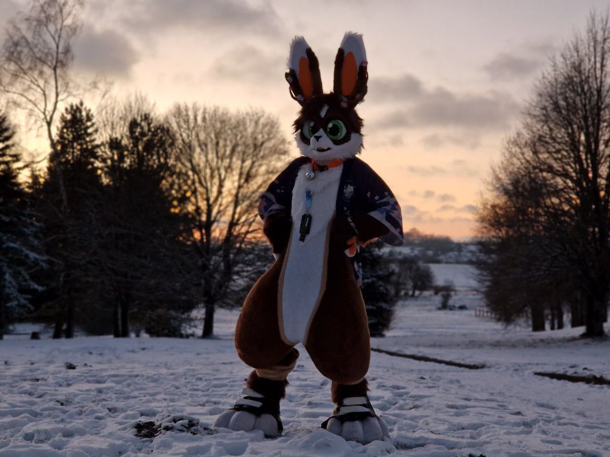 It's only the beginning of summer, I'm fed up, I want to go back to winter. 😭