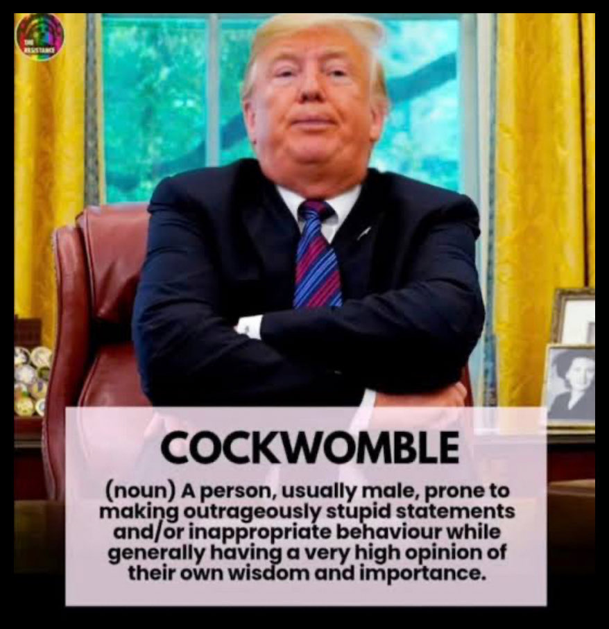 Just saying (@kangaroos991) on Twitter photo 👇 Well done Scotland! 🤣🤣🤣 👇 Well done Scotland! 🤣🤣🤣