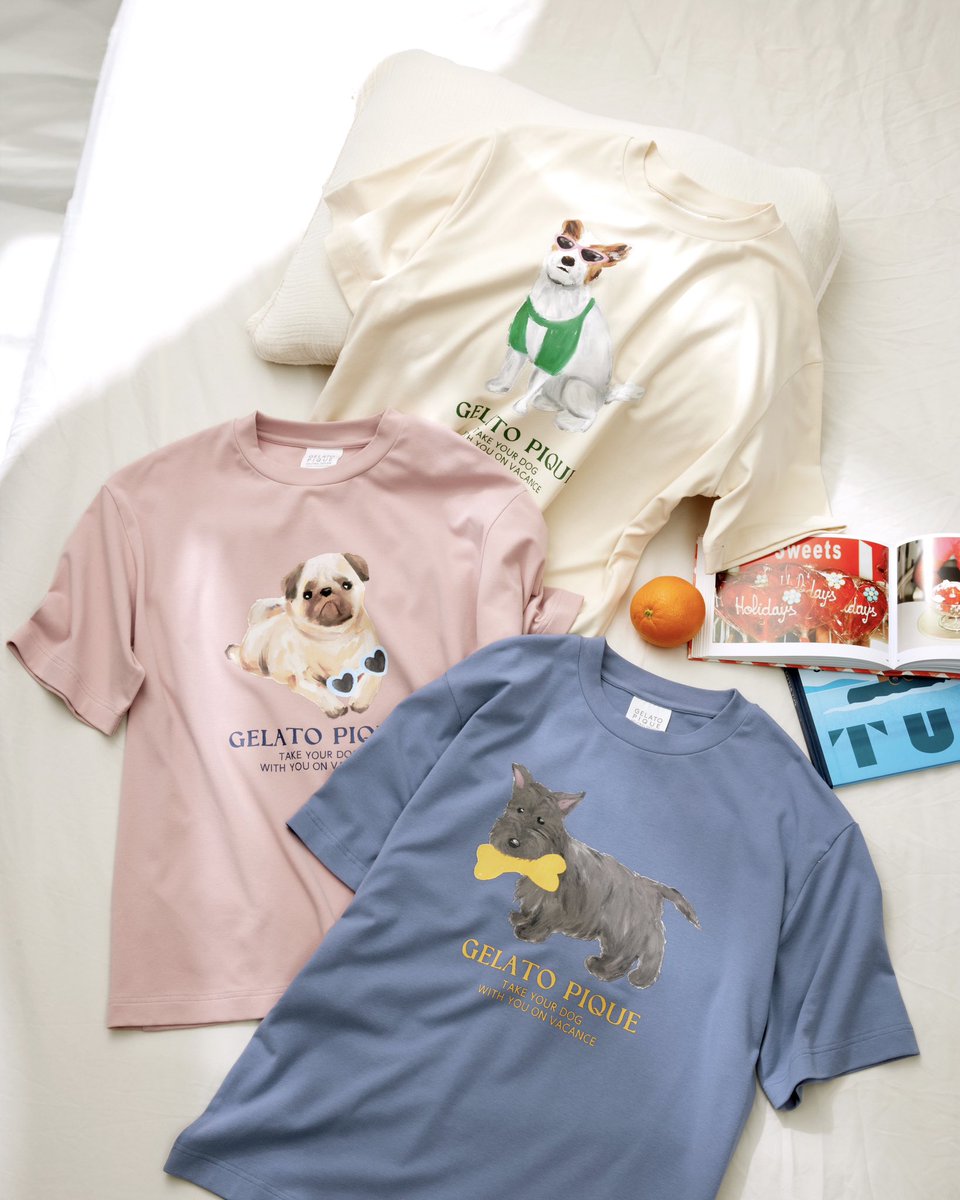 ジェラートピケ DOG 犬 ジャックラッセルテリア ルームウェア 上下 新品 ジェラートピケ DOG 犬 ジャックラッセルテリア ルームウェア