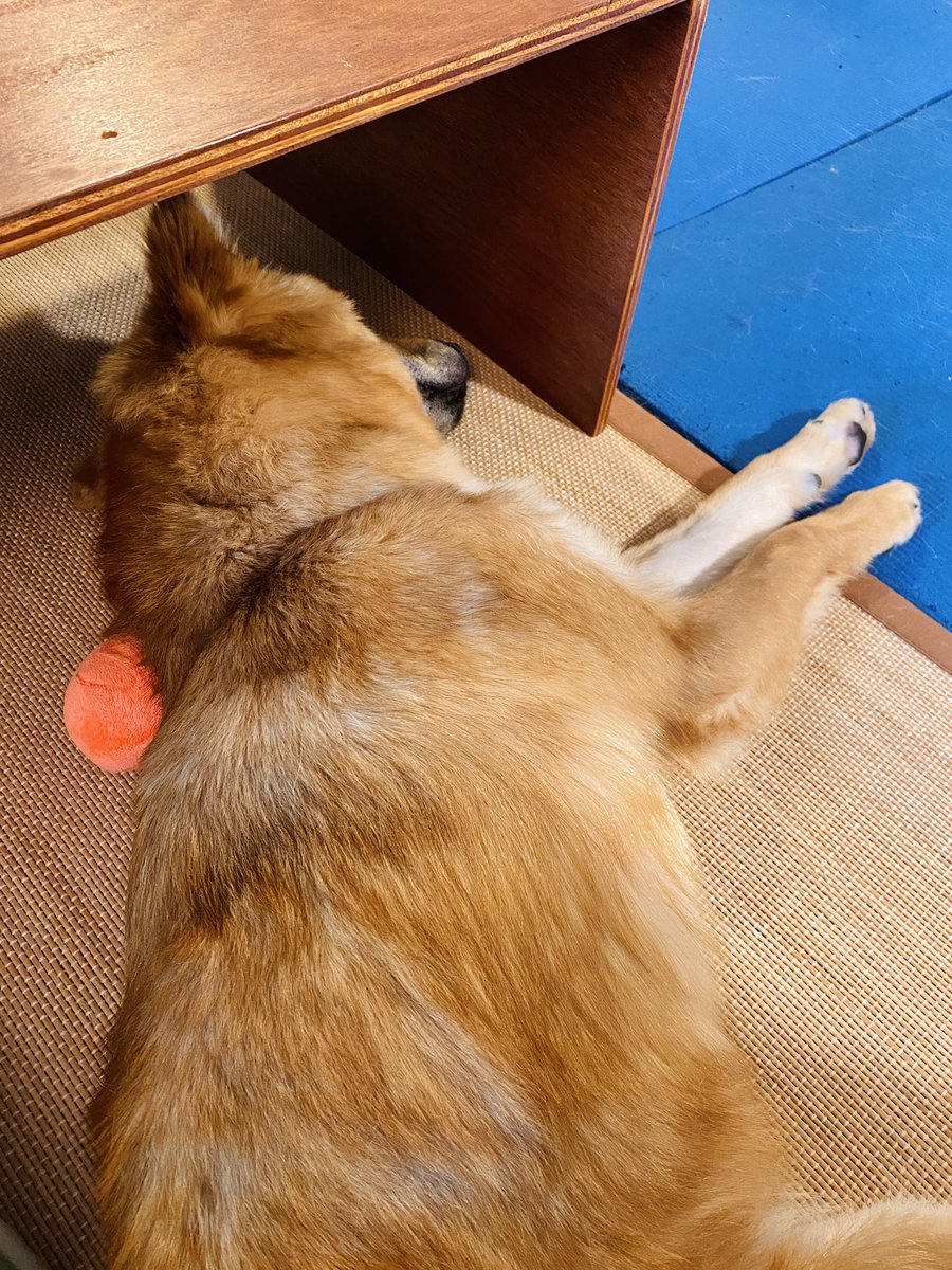 갑자기 다들 잠들었다..