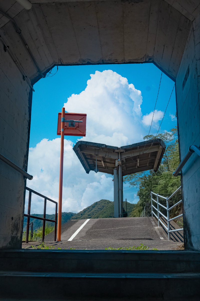 一人旅研究会 tweet media