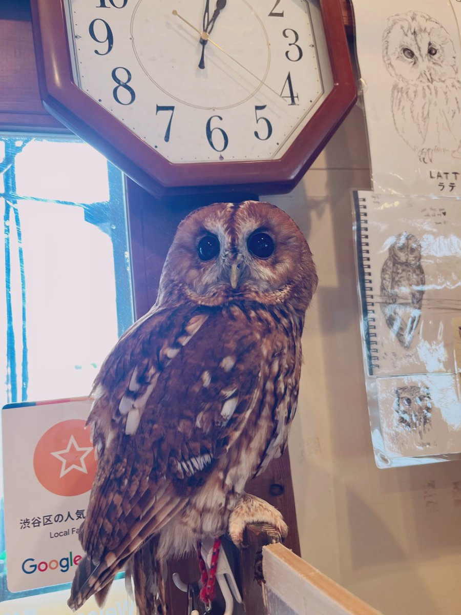 ting__0119's tweet photo. https://t.co/agc7BQ4IrK