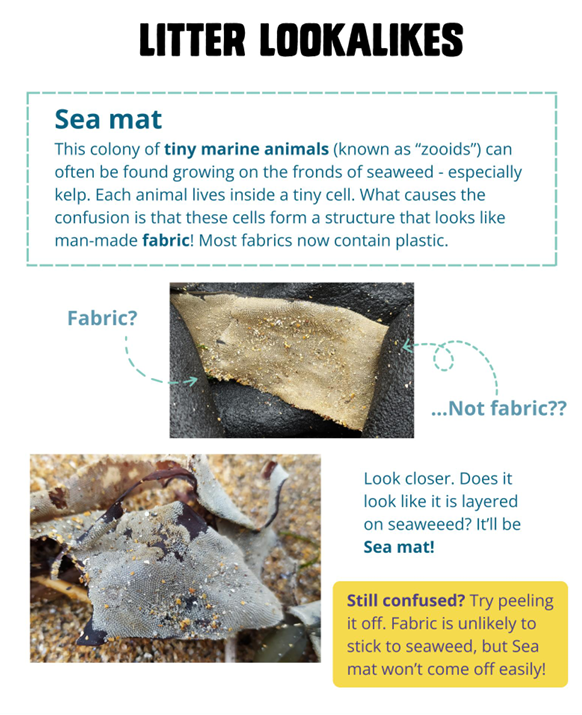 Planning to take part in our Summer Solstice Coastal Sweep this weekend?

This handy guide will help you tell apart the natural-looking litter and the artificial-looking natural matter!

Download it here: seabird.org/uploads/store/…