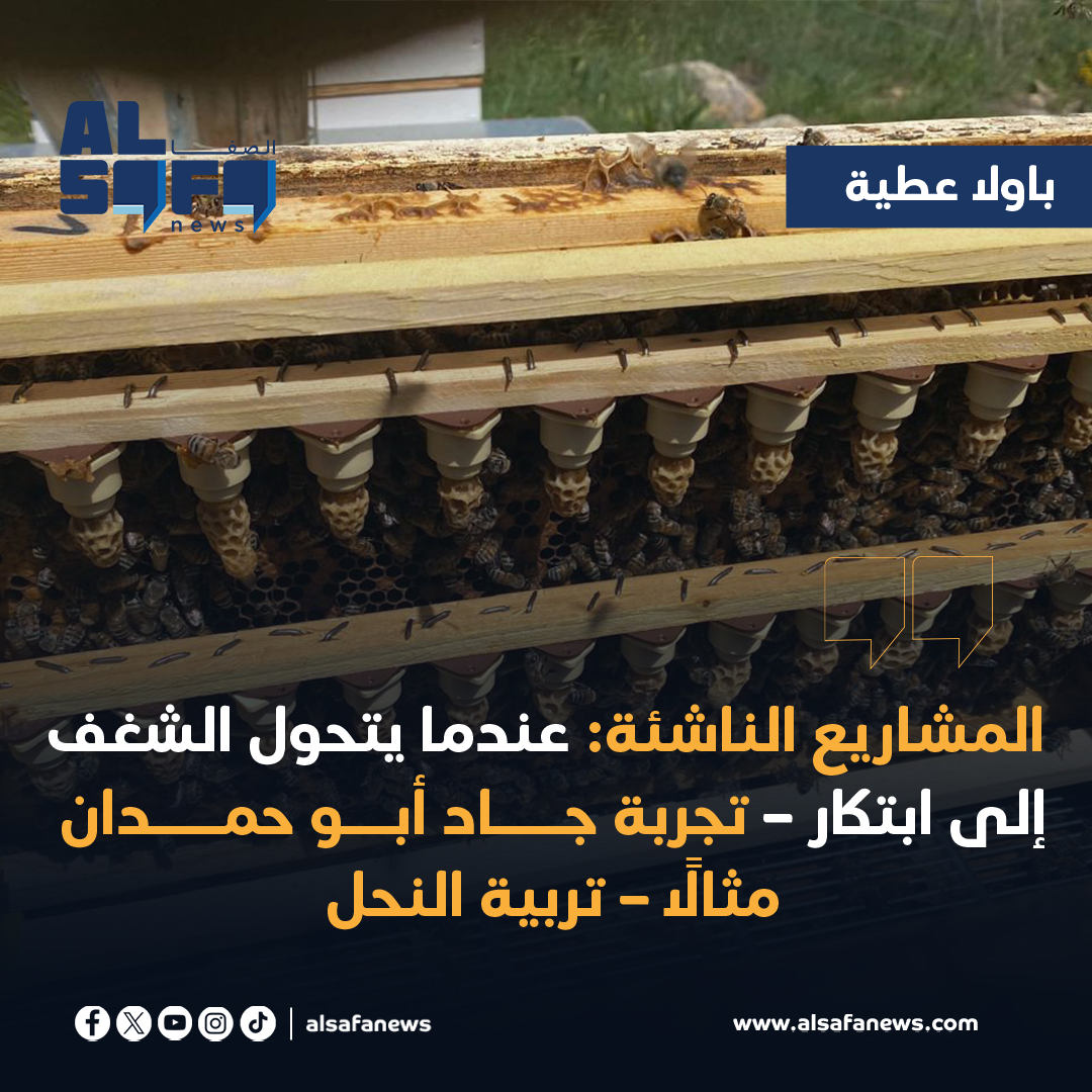 AlSafaNews (@al_safa_news) on Twitter photo لكن الحلم لم يتوقف عند تطوير ملكات جيدة، بل تطلّع جاد إلى بناء مرجعية علمية محلية في...
🔴تفاصيل أكثر👇
alsafanews.com/article/19375
باولا عطية | المشاريع الناشئة: عندما يتحول الشغف إلى ابتكار – تجربة جاد أبو حمدان مثالاً – تربية النحل
<a href="/Paolaattieh1/">Paolaattieh</a>
#today #news #NewsUpdate لكن الحلم لم يتوقف عند تطوير ملكات جيدة، بل تطلّع جاد إلى بناء مرجعية علمية محلية في...
🔴تفاصيل أكثر👇
alsafanews.com/article/19375
باولا عطية | المشاريع الناشئة: عندما يتحول الشغف إلى ابتكار – تجربة جاد أبو حمدان مثالاً – تربية النحل
<a href="/Paolaattieh1/">Paolaattieh</a>
#today #news #NewsUpdate