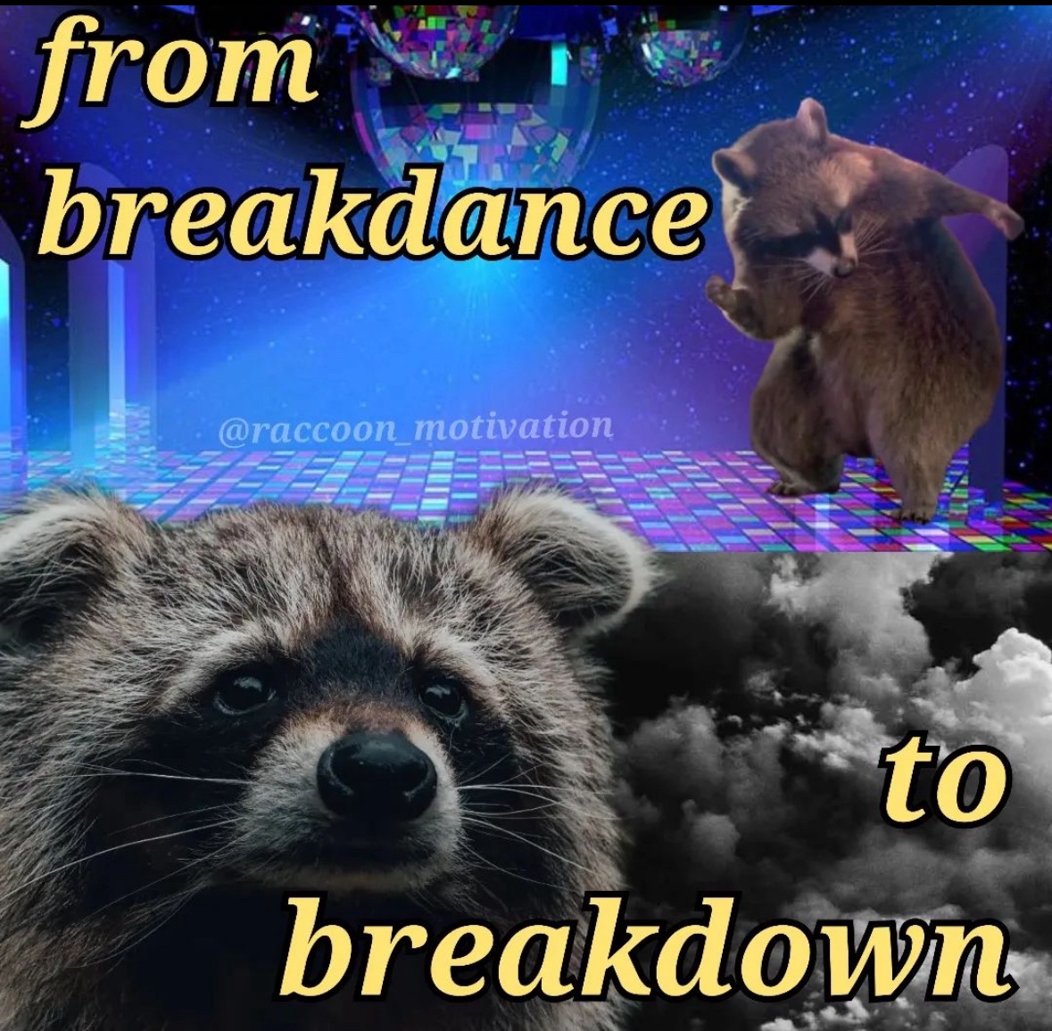 raccoonesthetic's tweet photo. https://t.co/Vy8FhsxwLI