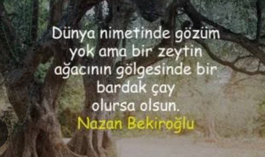 Doğayı sevmiyorlar insan sevmiyorlar hayvan sevmiyorlar  
Para dışında hiç bir şeyi sevmiyorlar 
#ZeytinimeDokunma