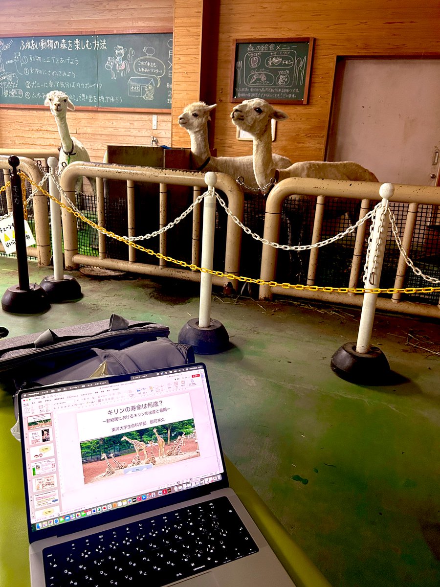 東武動物公園の講演会は、聴衆にアルパカがいるのも良い🦙🦙🦙

youtube.com/watch?v=-YH8Kr…